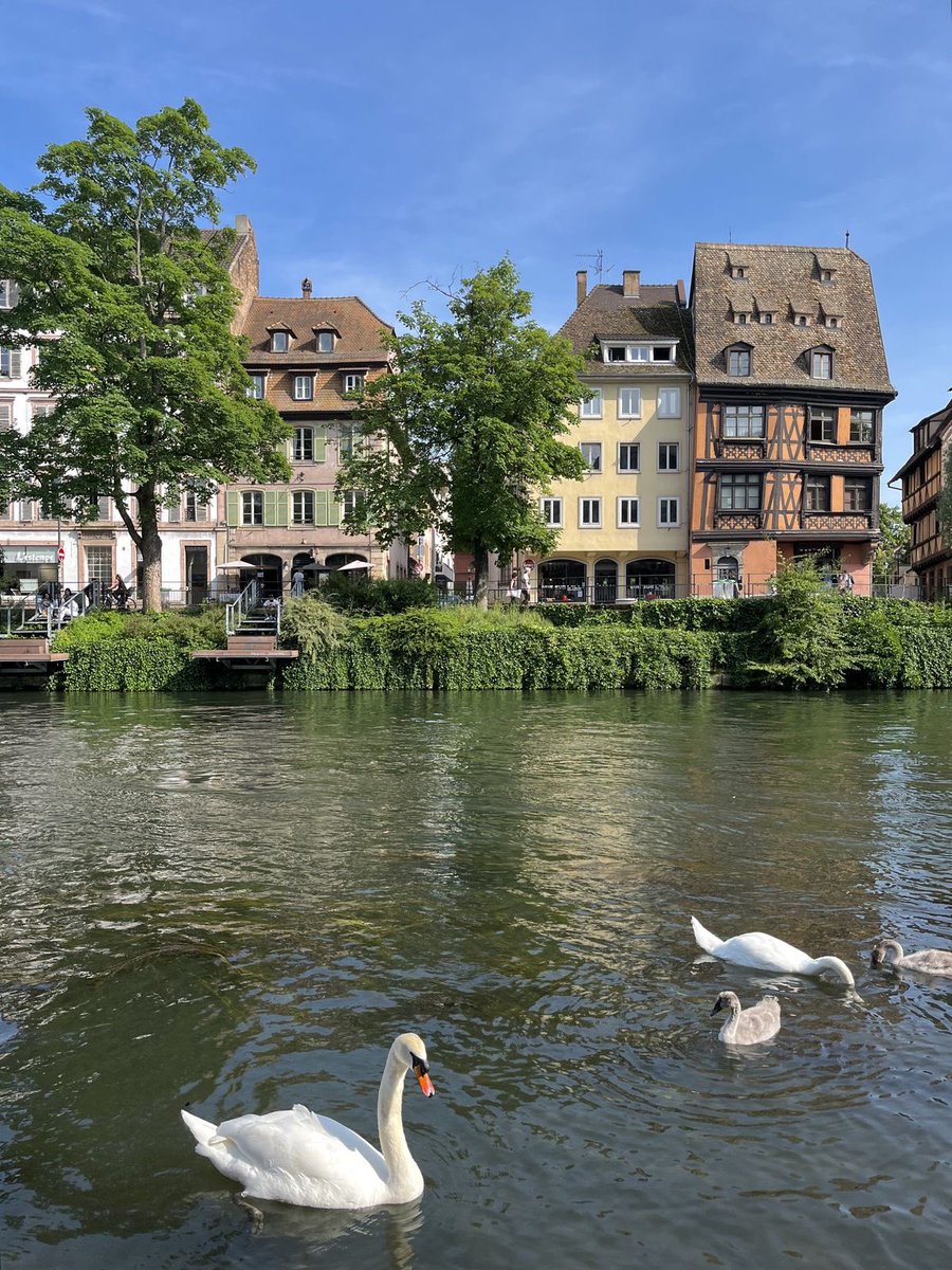 countryyvibes's tweet image. Strasbourg, France