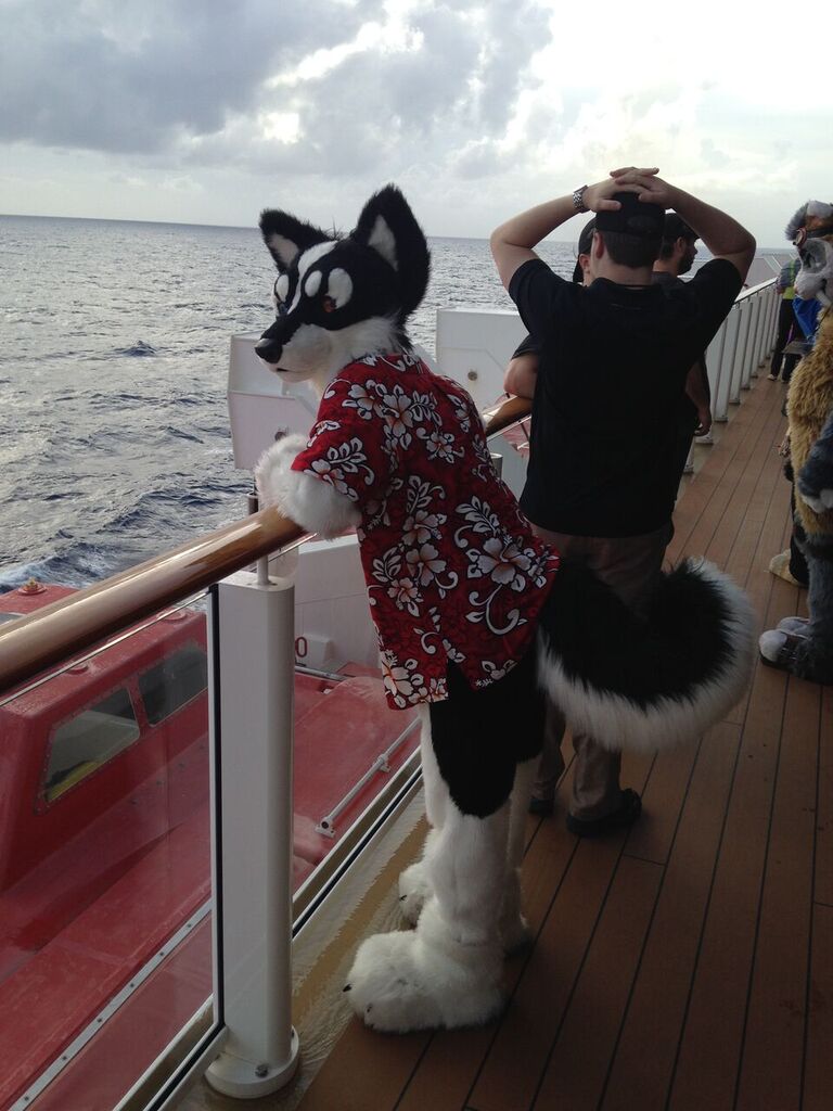 FauxPas_FactoryInstalledBabyfur tweet media