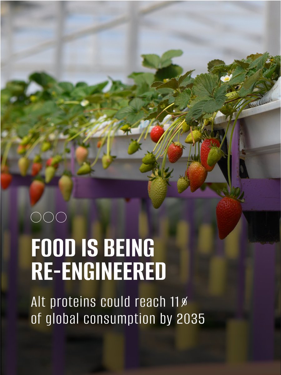 AGWAABUDHABI's tweet image. AI, robotics, and data are redefining how we grow, produce, and scale what we eat. This is bigger than agriculture, it’s a new industry.

#AGWA #AGWAAbuDhabi