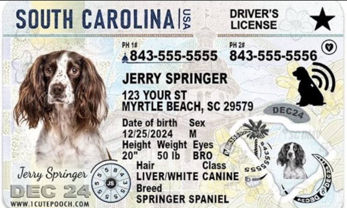 🇮🇶. tweet media