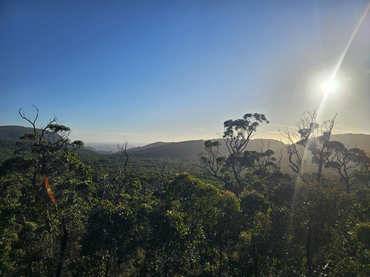 Shenal Perera tweet media