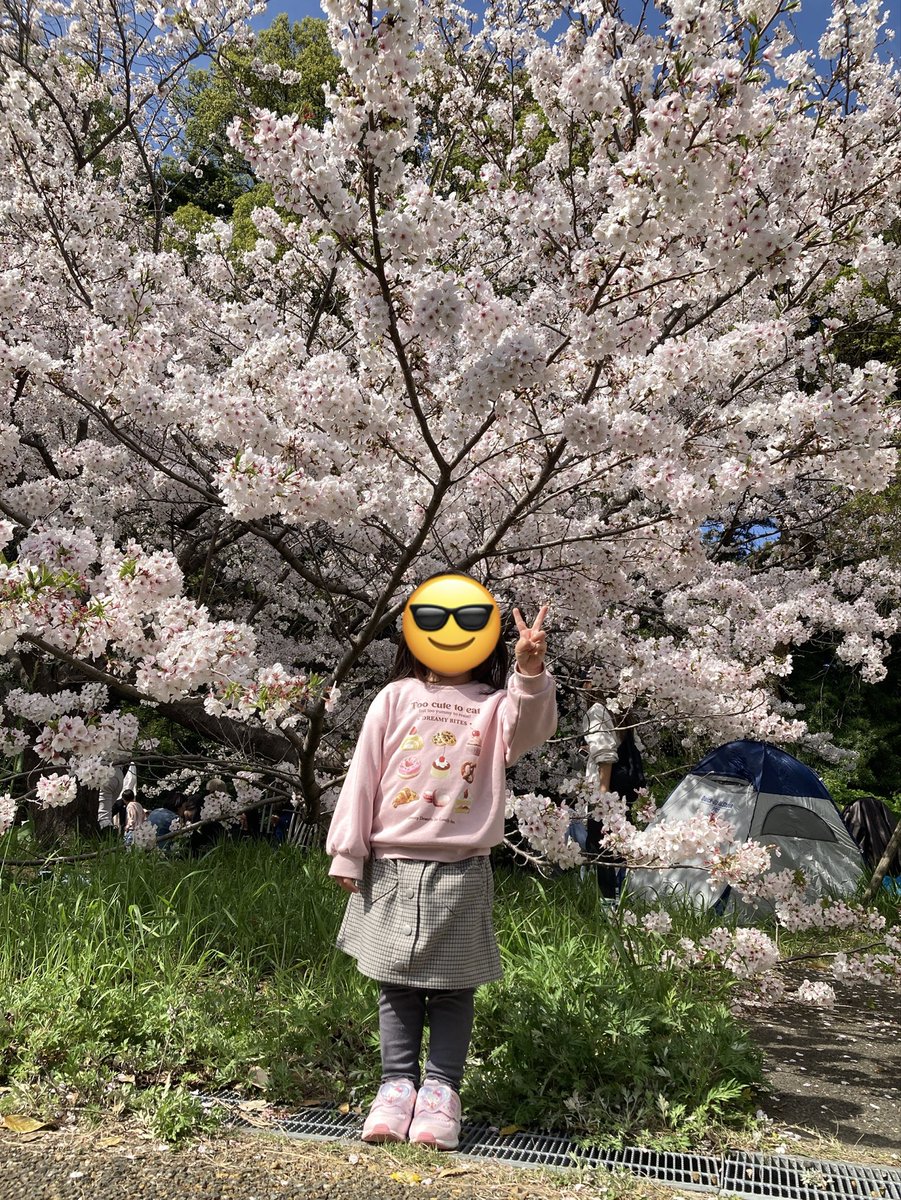 fakerocker69's tweet photo. 娘の幼稚園生活がスタートし
新たなストーリーが始まった感あり🌸 https://t.co/xiRp2Ku1T8
