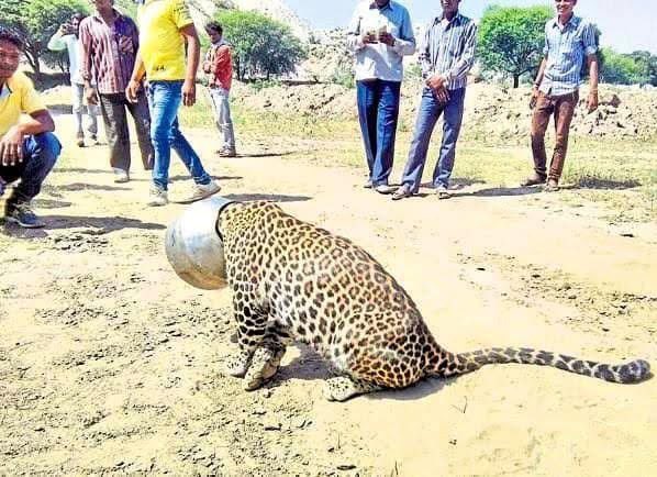 Olóyè Somorin Osifeso tweet media