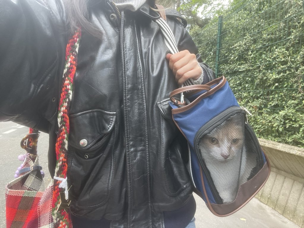 uma🌱🪷🧃👒🍒 tweet media