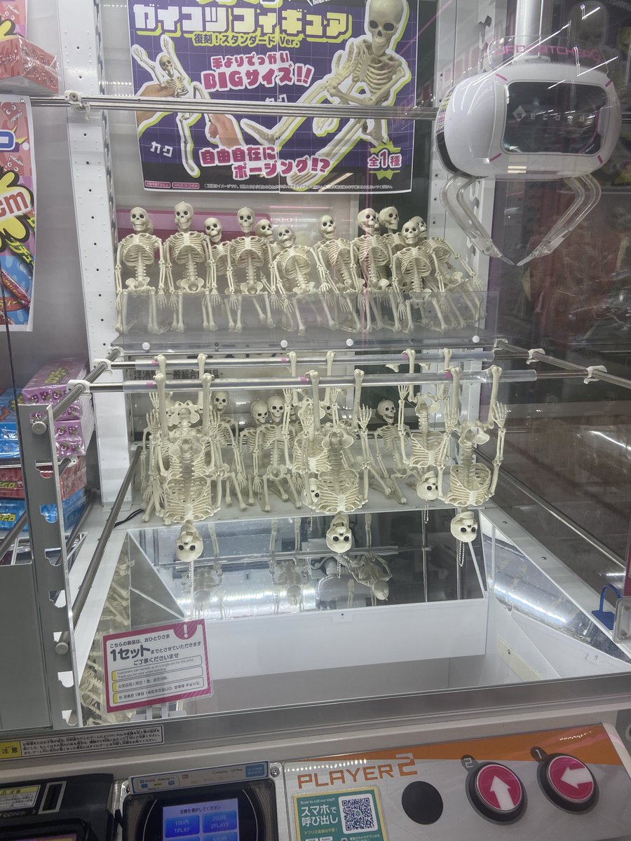 西ともみ tweet media