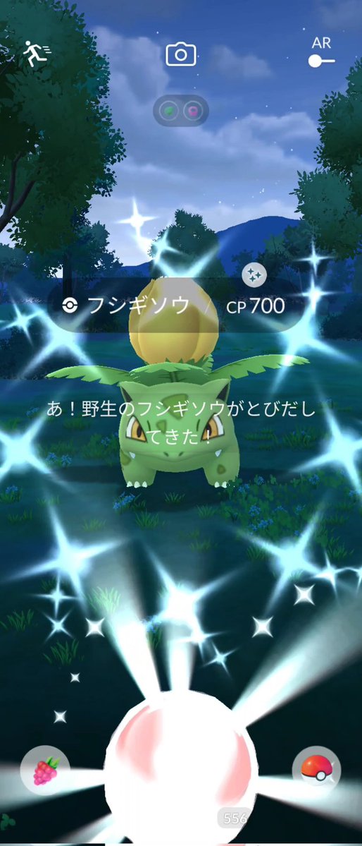 ヒロスケ|ポケカ×ポケGO HiroSuke tweet media