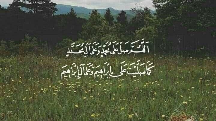 MEMO🇵🇸 tweet media