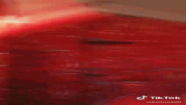 CattleProd tweet media