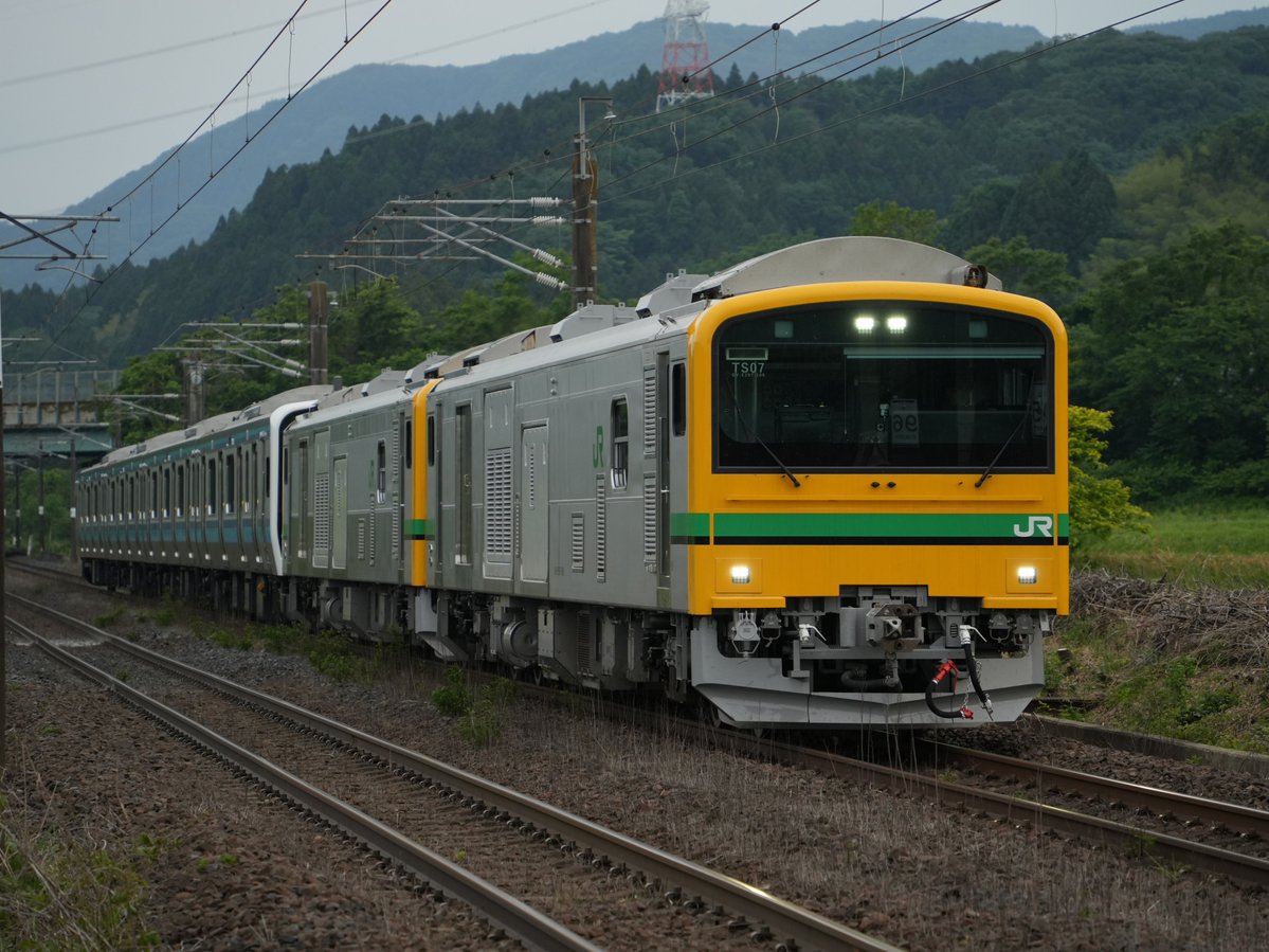 リバティ常磐 tweet media