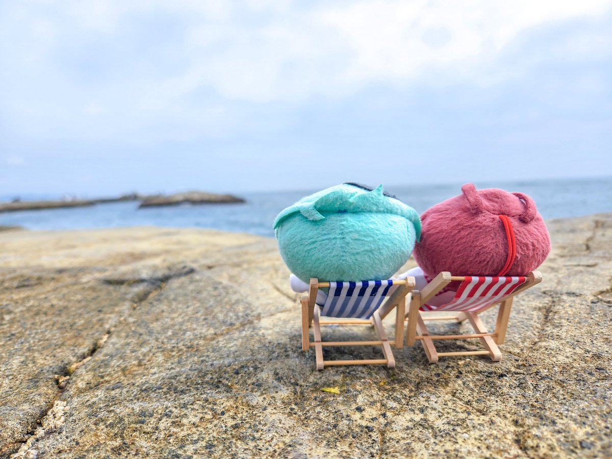 osyalook's tweet photo. 海でここまでトンビに怯えたの初めてだよ https://t.co/0YfGAPbvJF