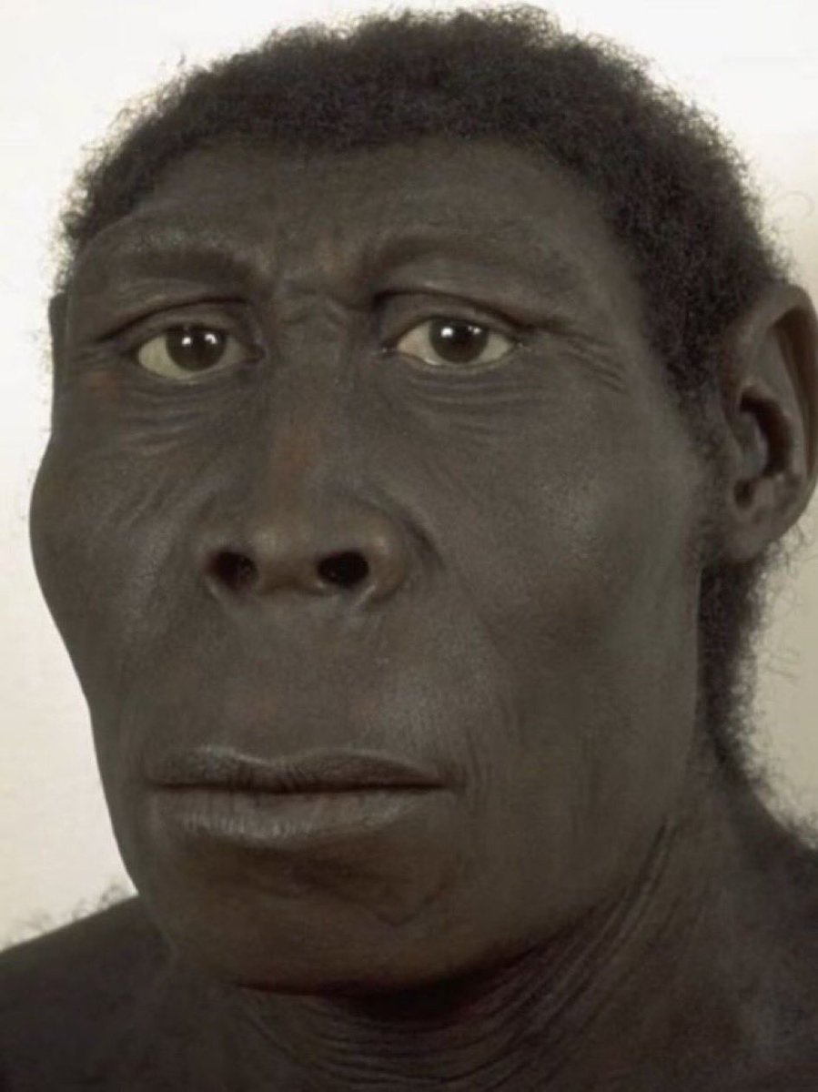 Certified_Dele🇸🇳🇫🇷 tweet media