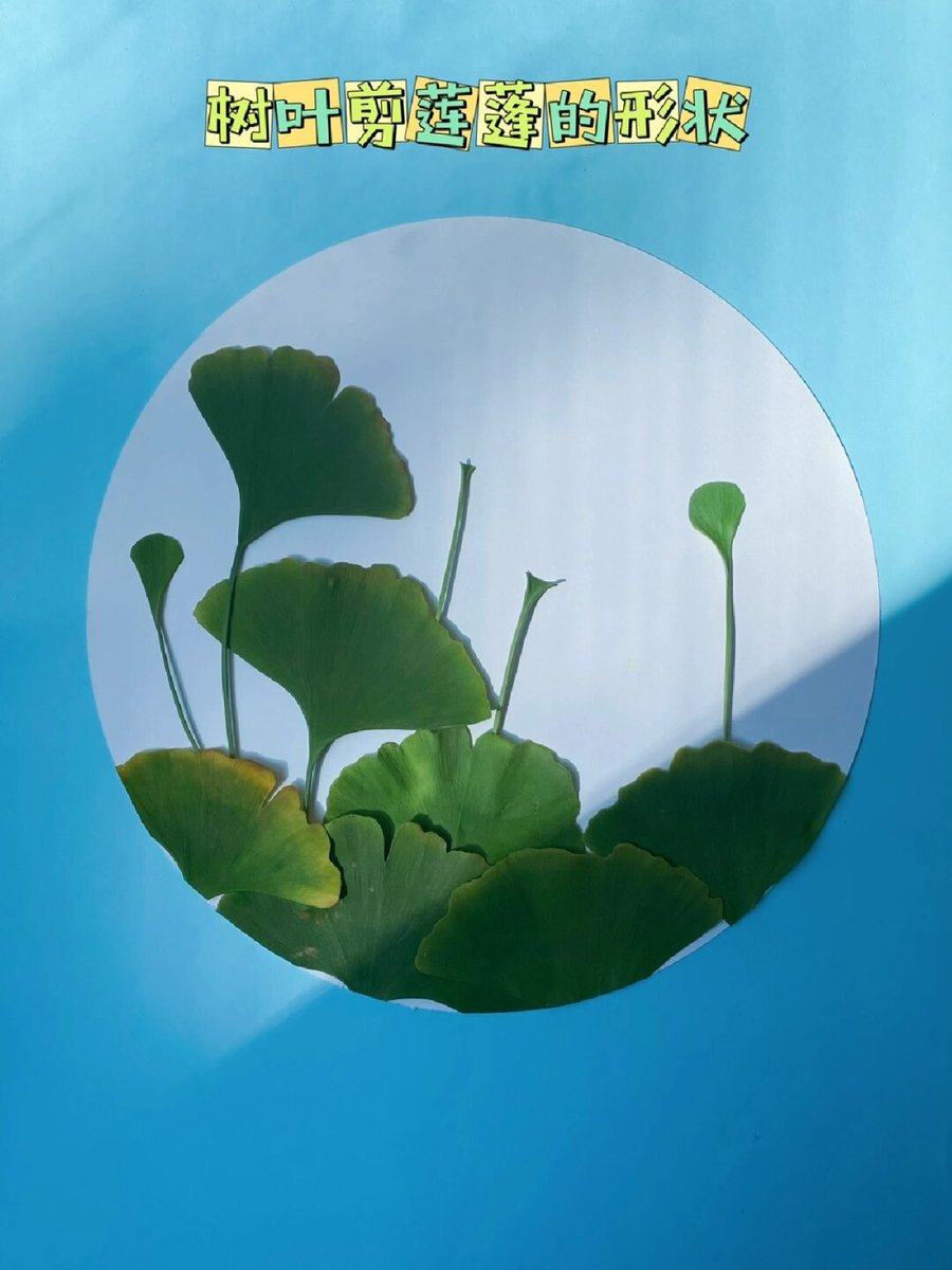 Sanjee_v_Upadhayay tweet media