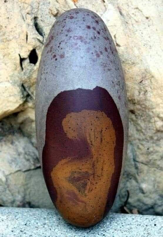 Dr Umesh Kumar Upadhyay tweet media