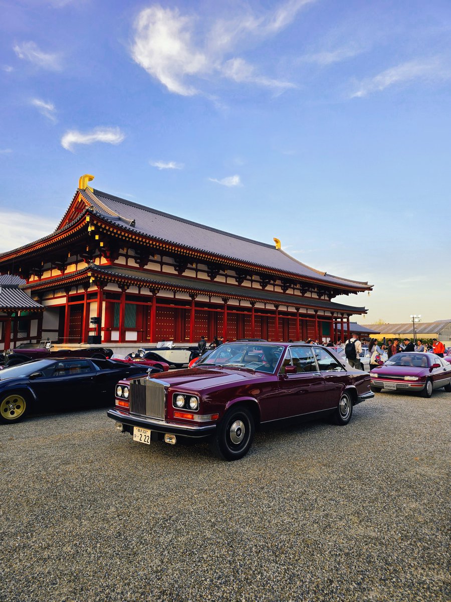 Angelfish tweet media