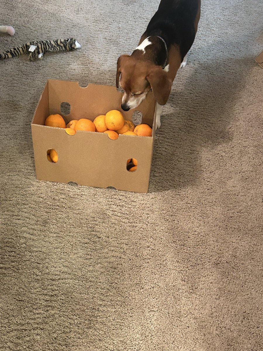 Kevin Ehleringer tweet media