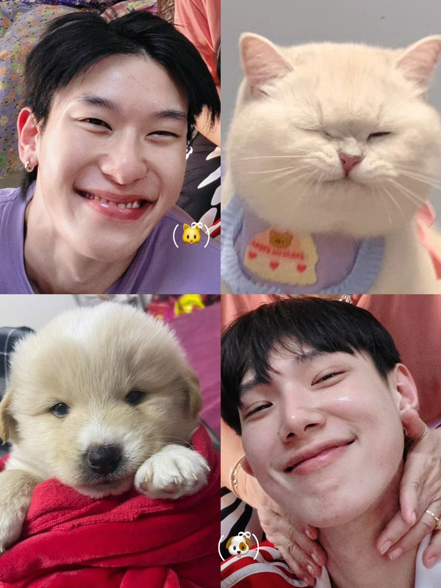 ᑤ h /•᷅•᷄\ᘏ tweet media