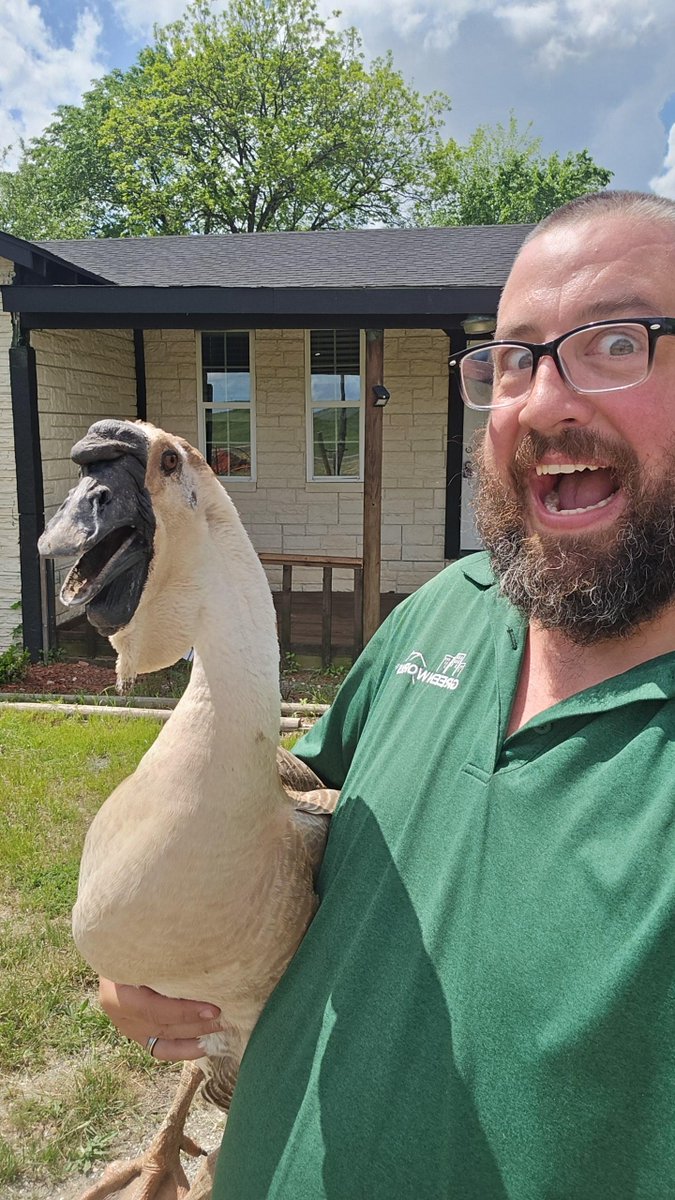 GreenWorksInsp's tweet photo. When the inspector says he “found something unusual on site”…
…and then shows up holding it. 🪿😳

Meet Jay Zink. He doesn’t just inspect—he connects. https://t.co/NC3s7UGo5s