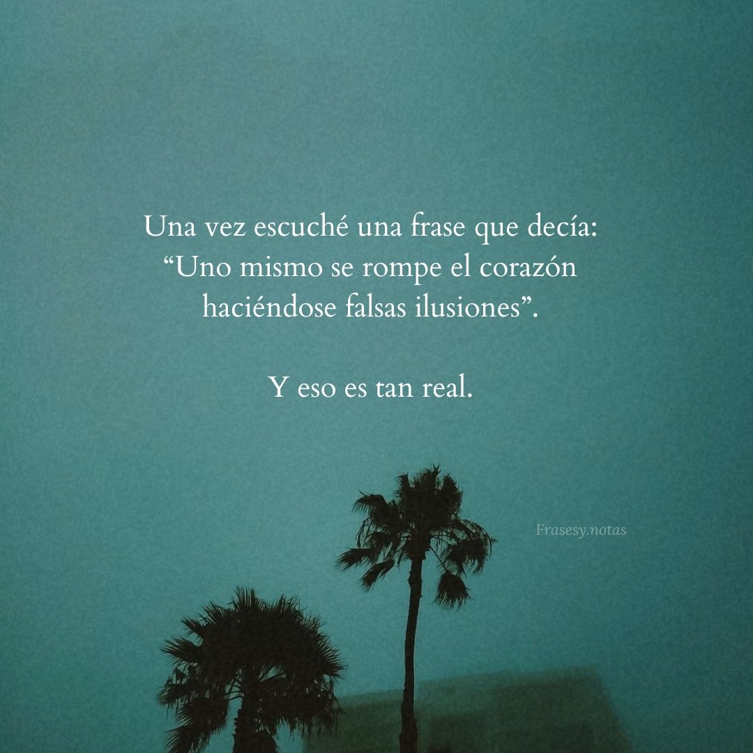 Tengo Focus tweet media