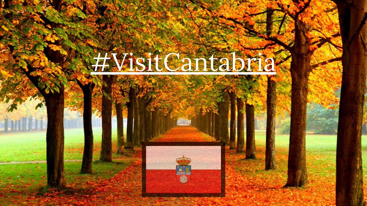 Estadisticas aeropuerto Santander tweet media