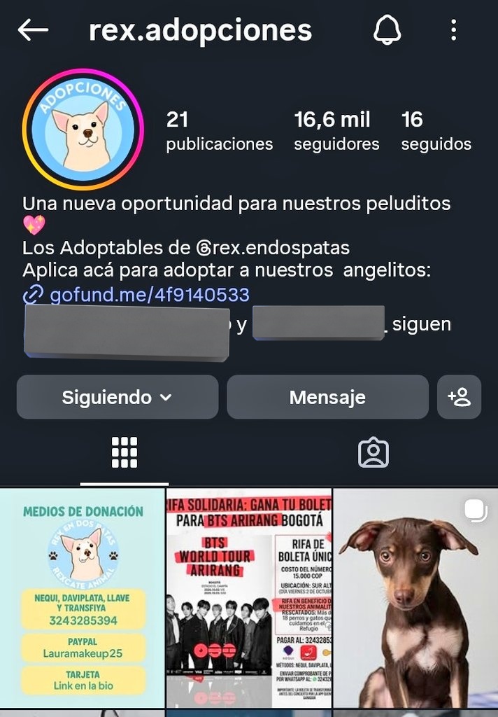 ANGE 🇨🇴 MANIFESTANDO BOLETO🕯️ 💜🍀 tweet media