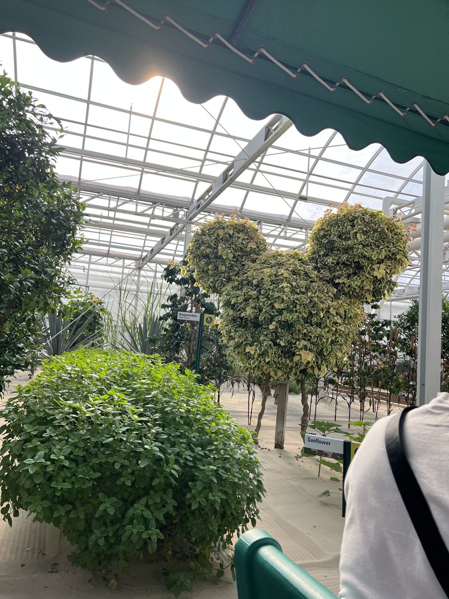 Bob Dankese tweet media