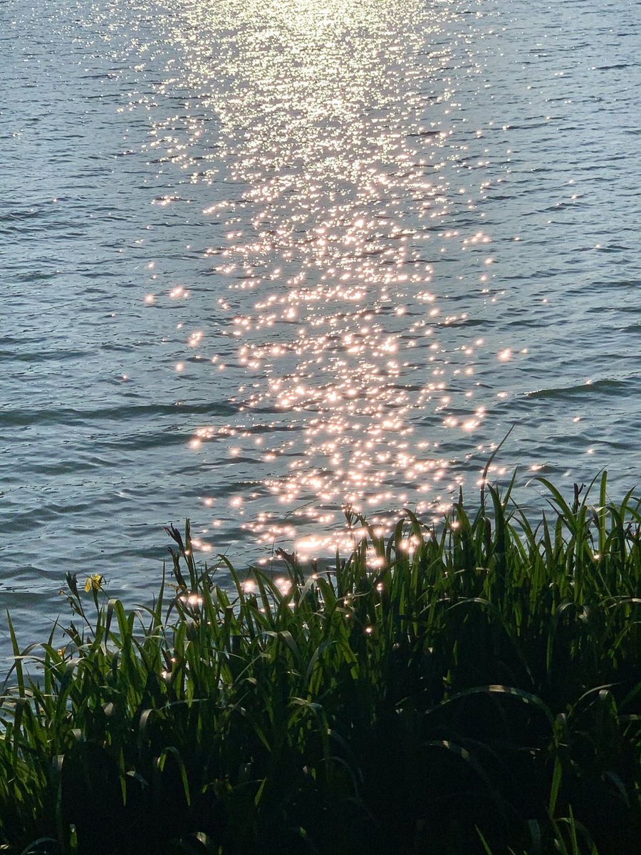 HeavenOnEarth tweet media