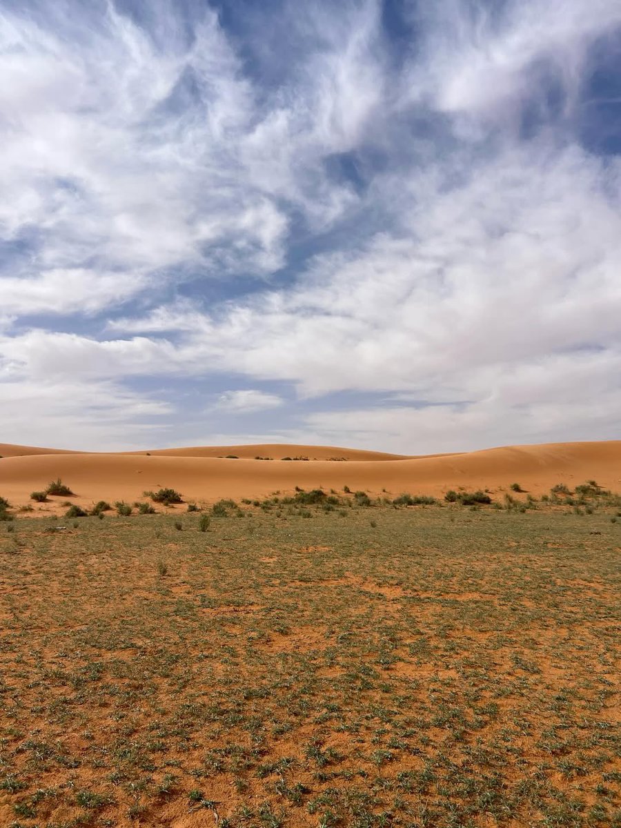 المملكة tweet media