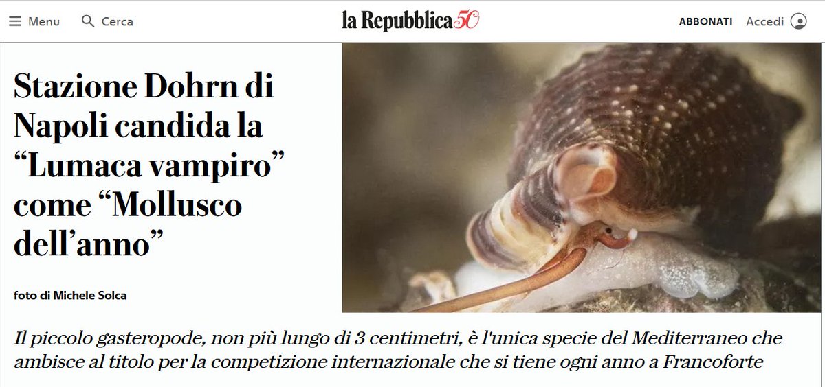 SpioneValerio's tweet photo. Tagliani non può partecipare perché è fuori concorso.

#Tajani #ministrodegliesteri #governomeloni #governodicialtroni 
#Dohrn #mollusco #lumacavampiro #13aprile https://t.co/vOWq9a5CGH