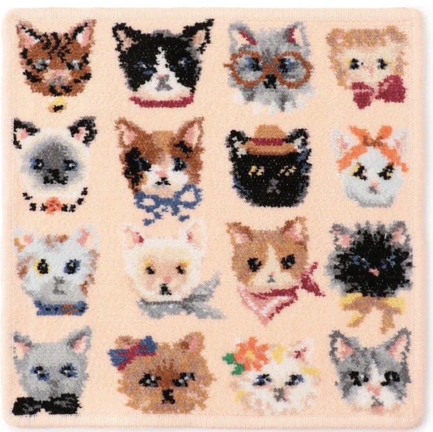 파쿠치 tweet media