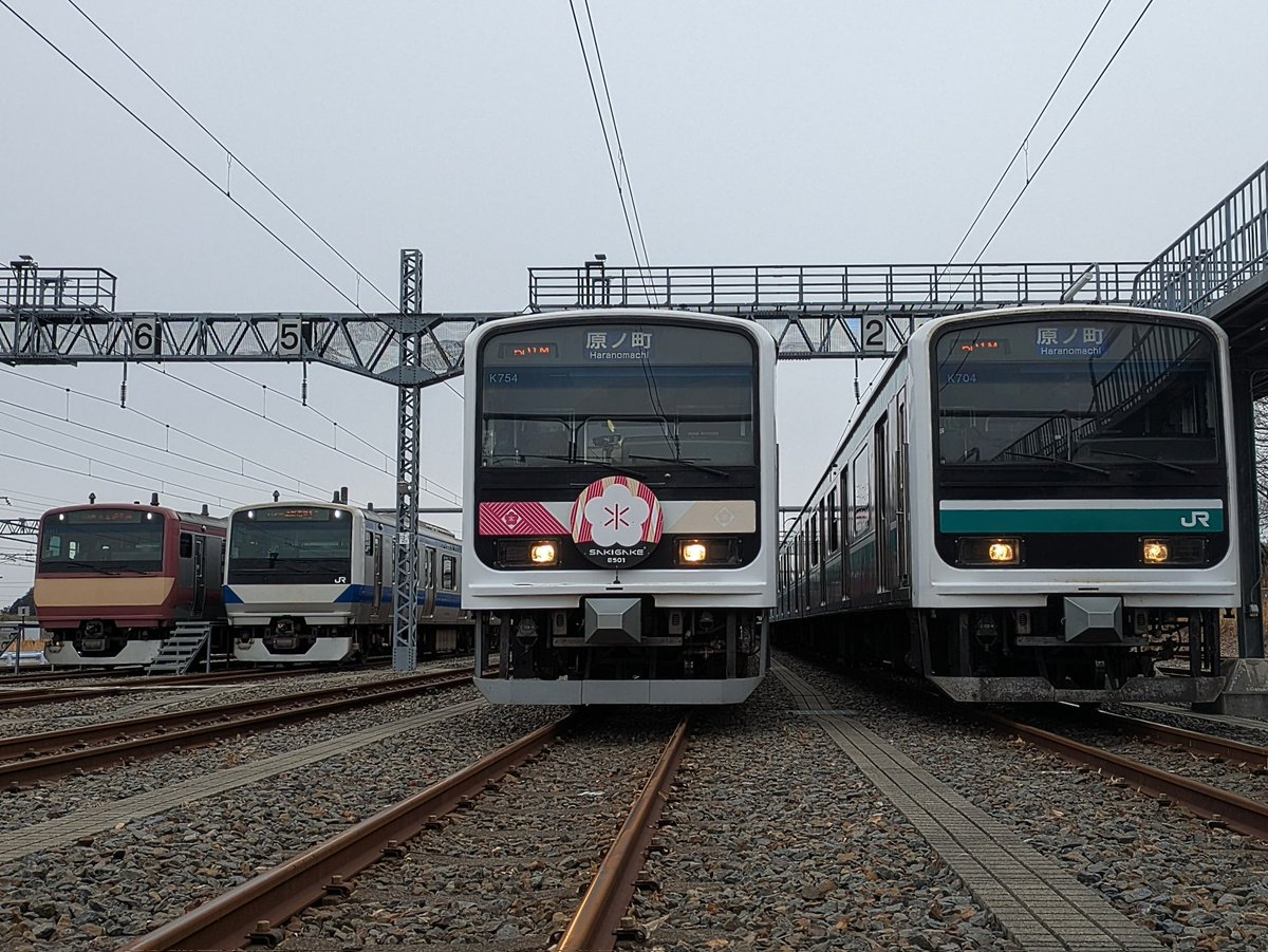 幕マク tweet media