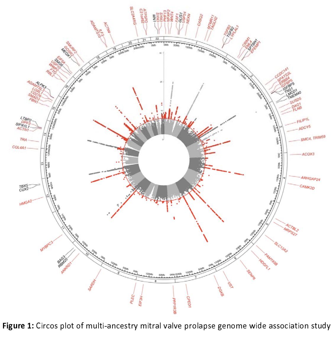 Pradeep Natarajan tweet media