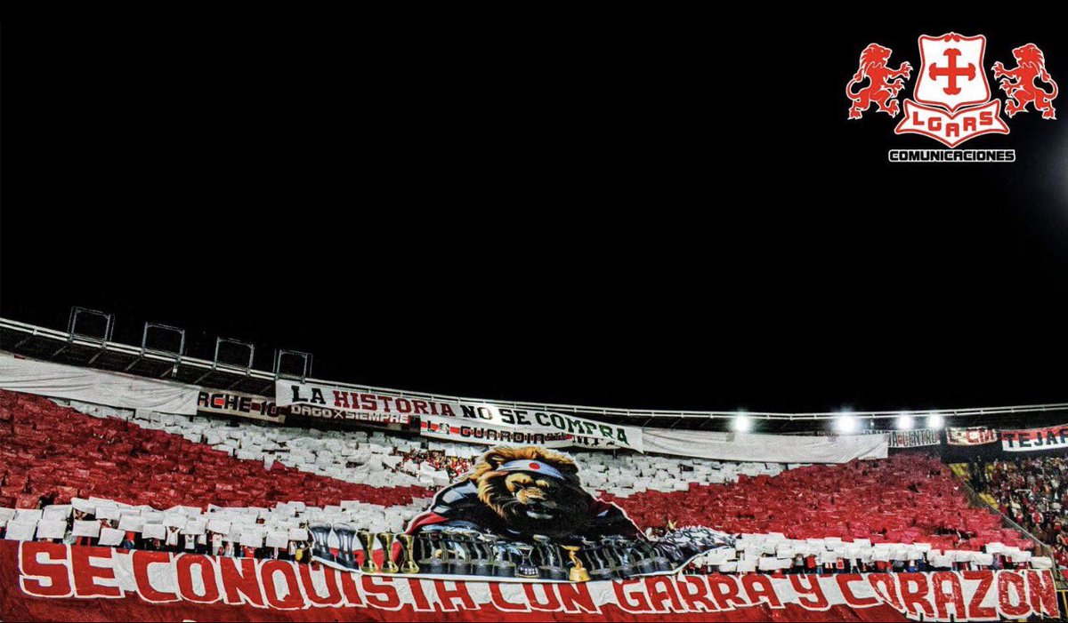 Moli 🌸 tweet media