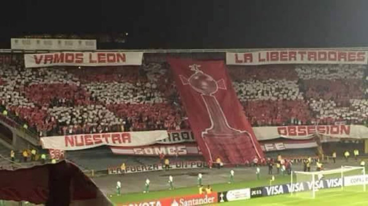 Moli 🌸 tweet media