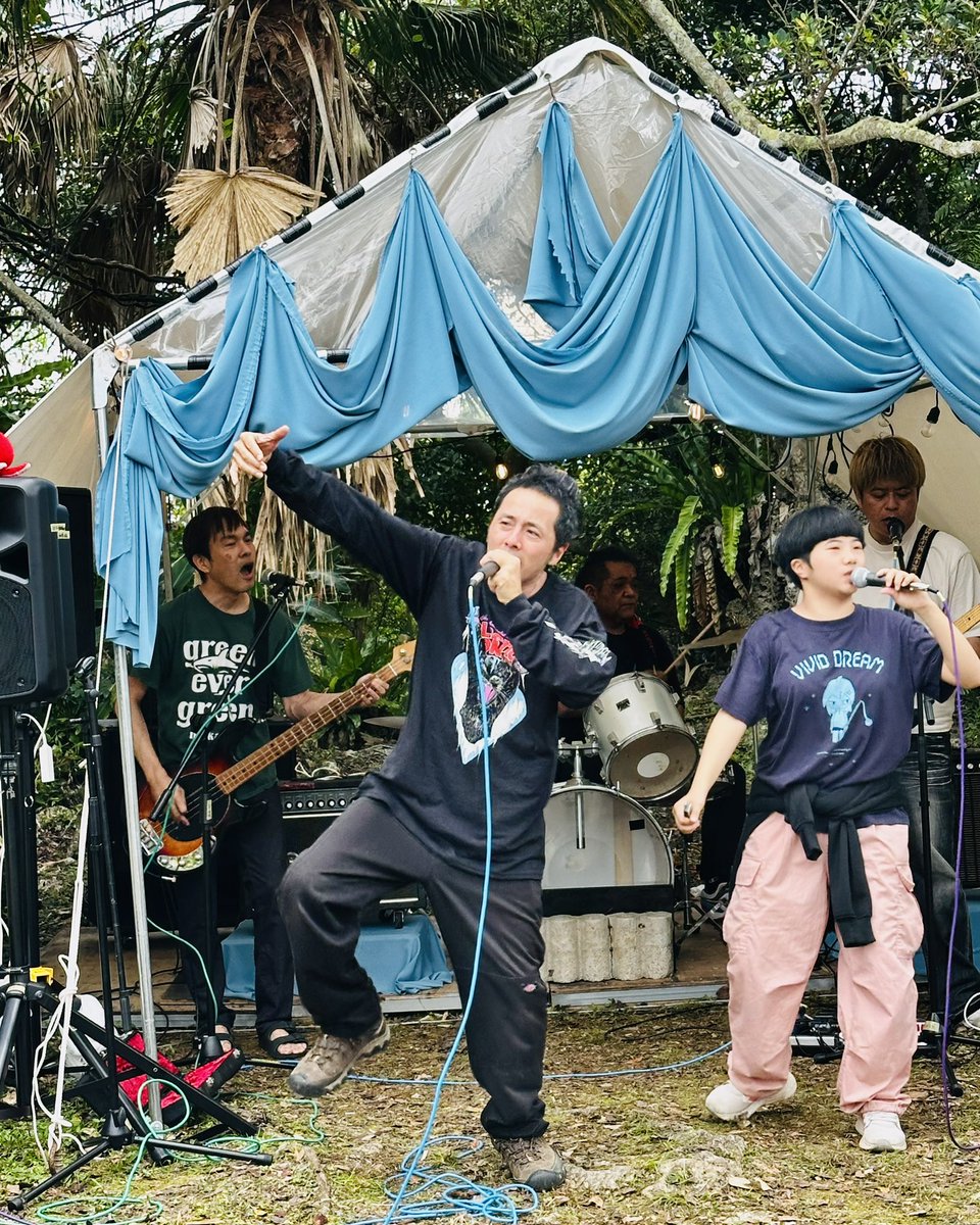 おけい_Cherry Sunburst tweet media