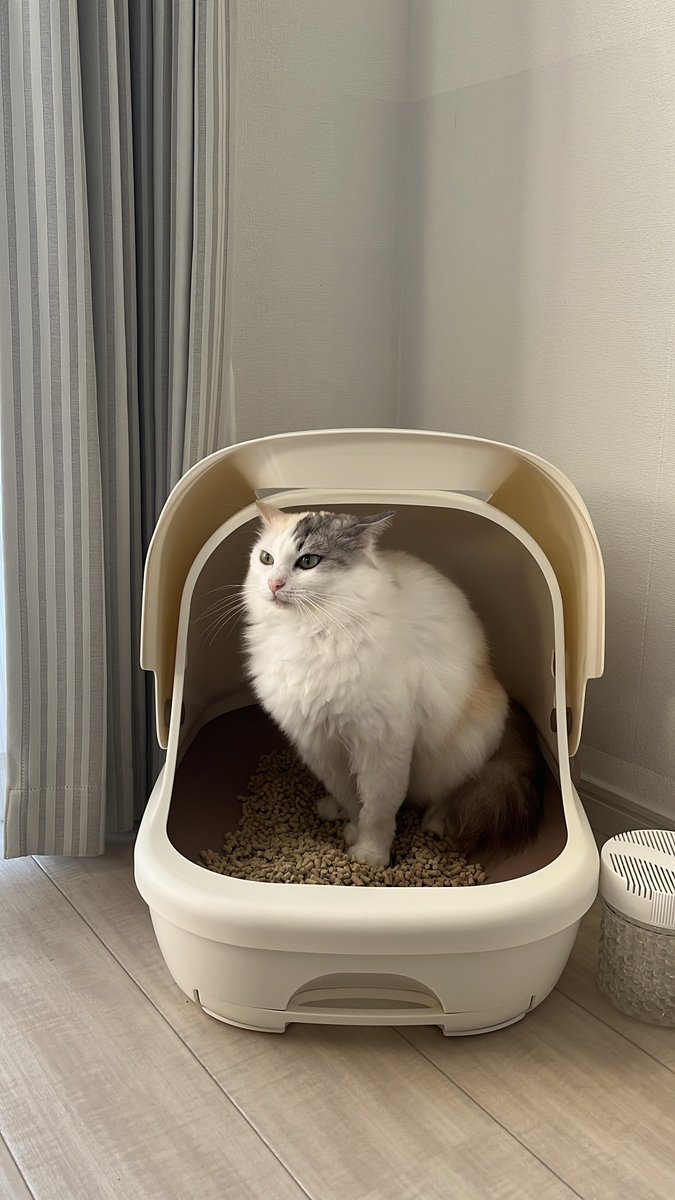 #うんち顔コレクション