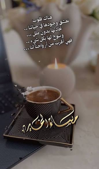 محمد العالمي💙💛 tweet media