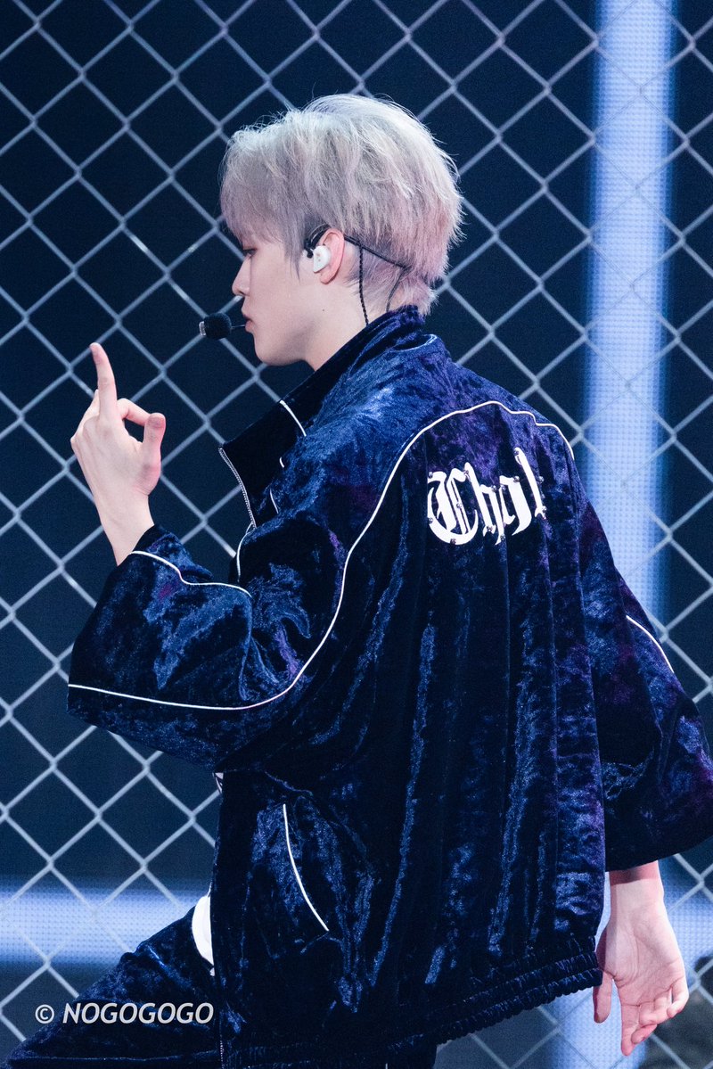 NOGOGOGO tweet media