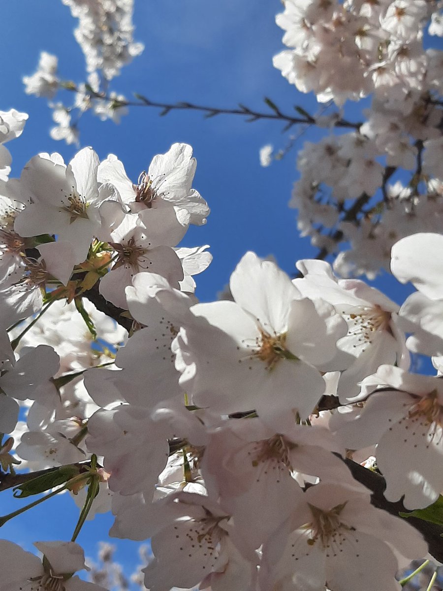 Aaron The Artificer tweet media