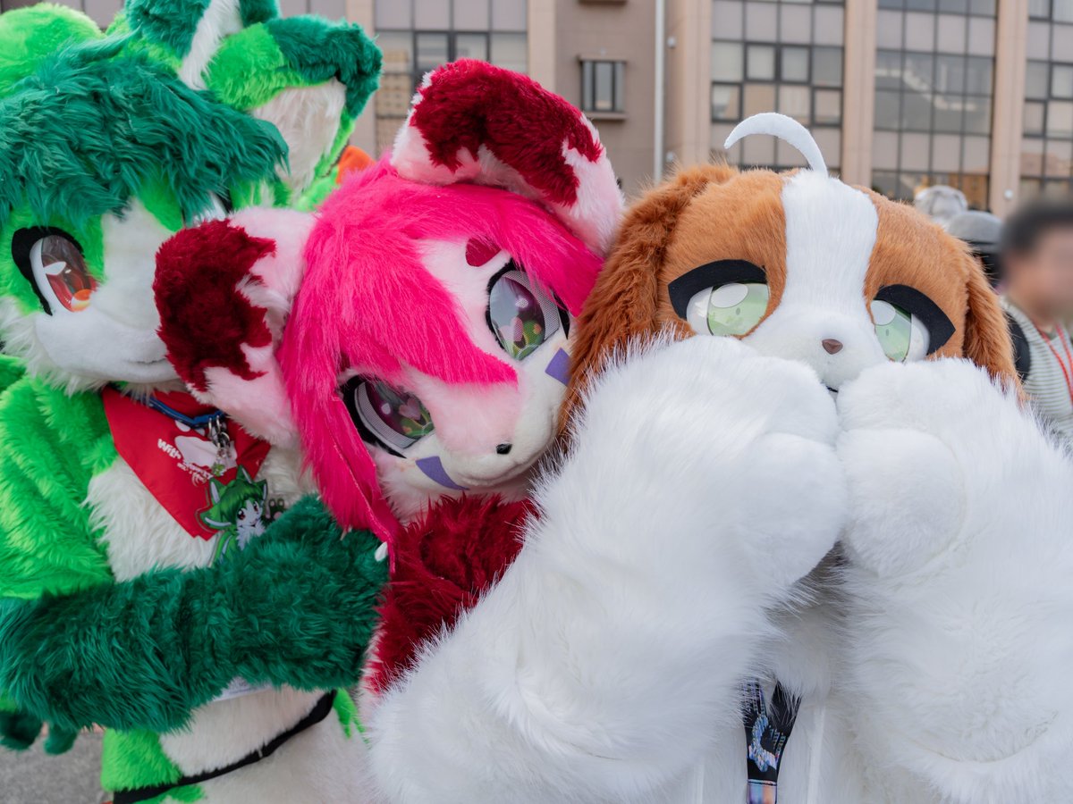 FLEET(ねこのすがた) tweet media