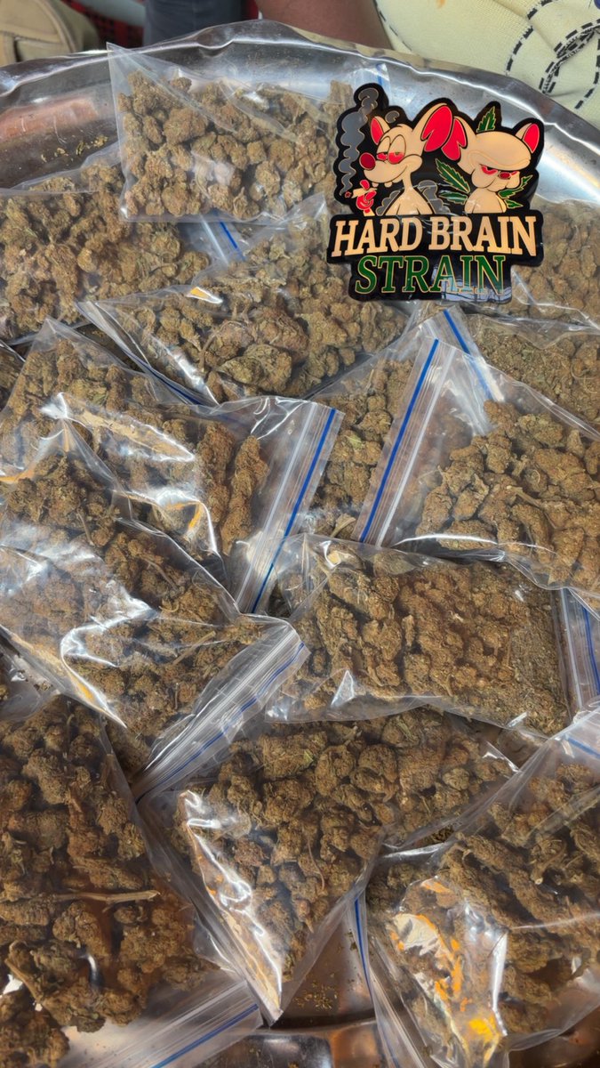 HARD BRAIN 🧠 STRAIN 🌳 tweet media