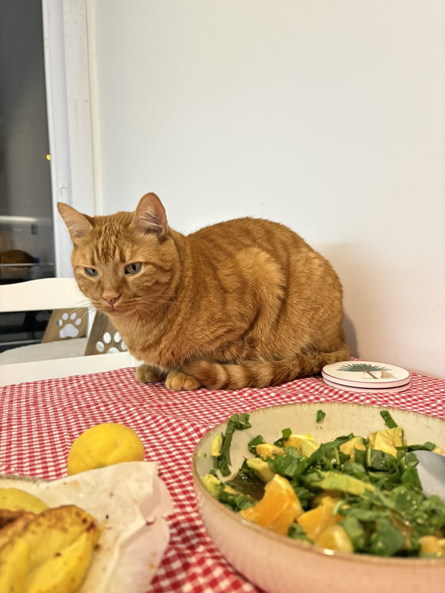 Maya Taç tweet media