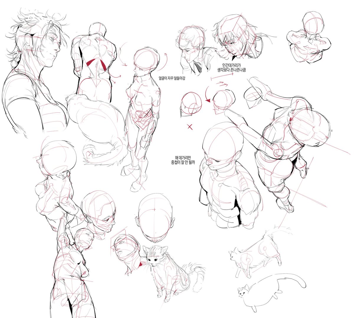 덕춘 / Coloso 오픈 tweet media