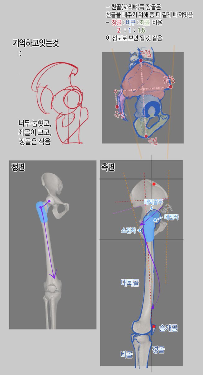 덕춘 / Coloso 오픈 tweet media