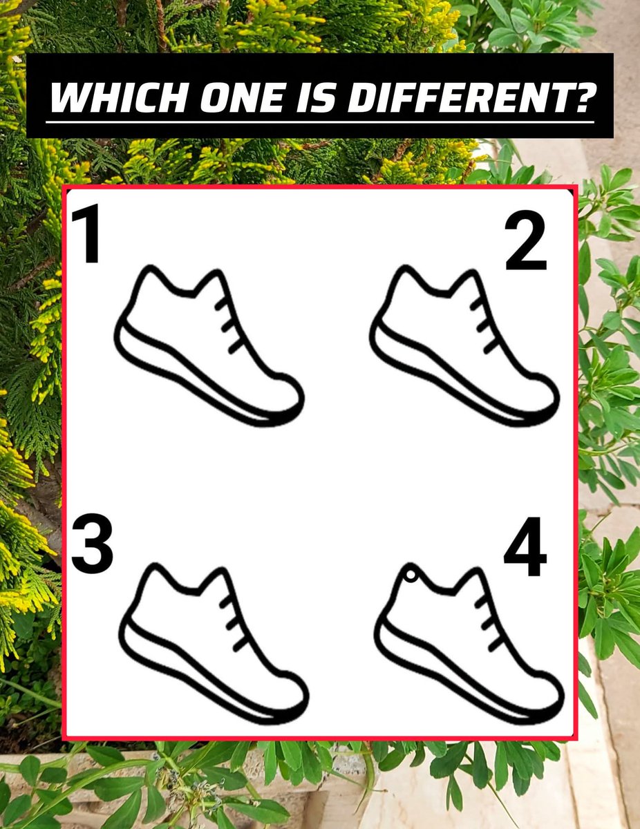 AHMED BANBHAN tweet media