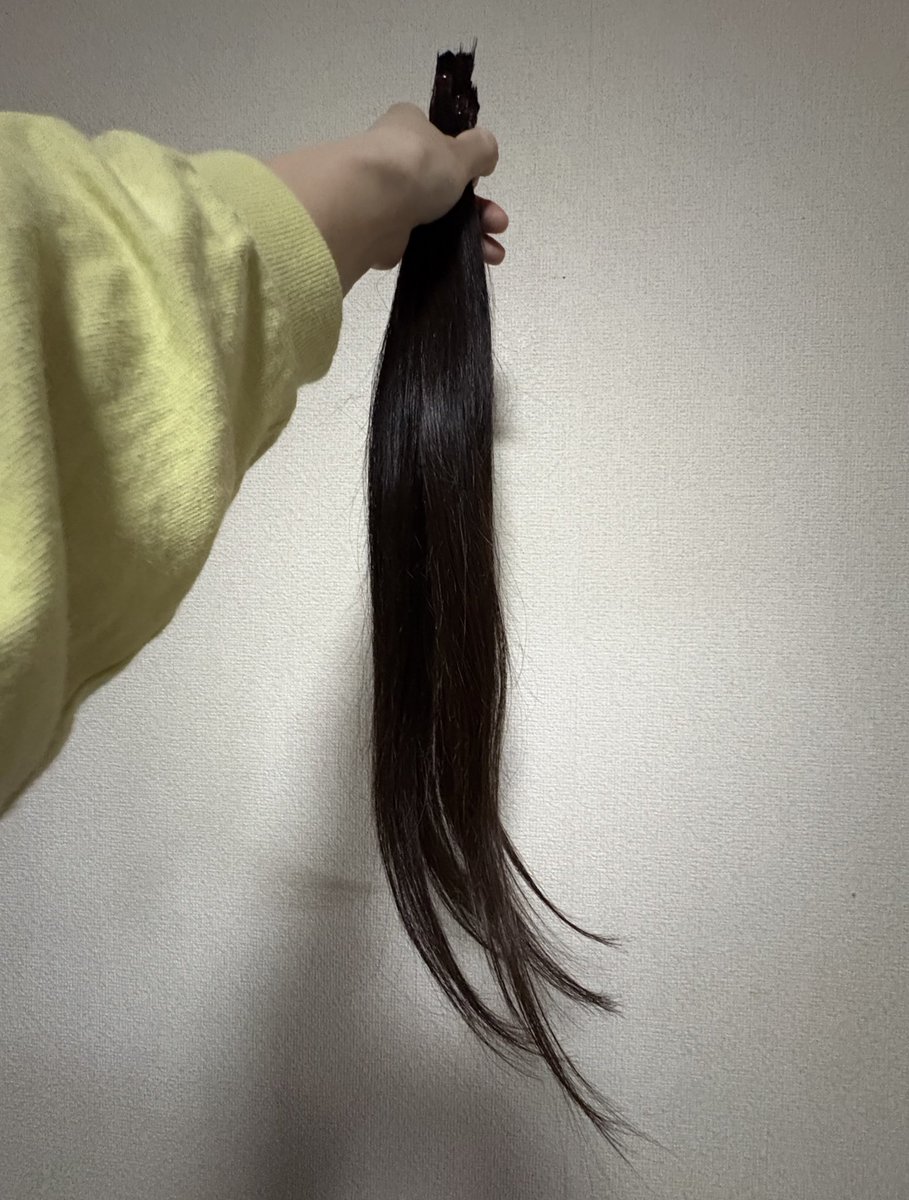 fp_min_'s tweet photo. ヘアドネーションするのに4年くらい伸ばした髪の毛をようやく切ってきたぞぉぉ！
髪を結べるくらいの長さまで残しても50cmくらいは切ったかな https://t.co/62hf99yMyU
