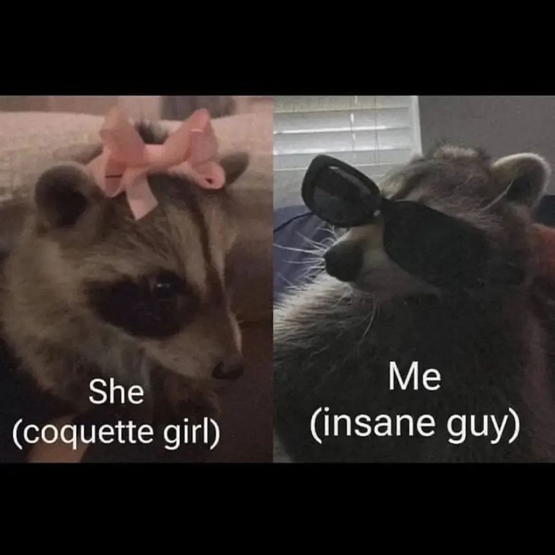 raccoonAuras's tweet photo. https://t.co/Cvk8MlAZYr