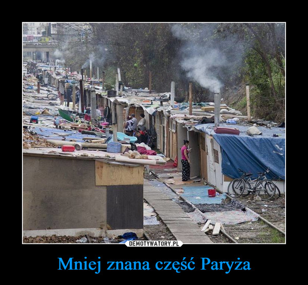 Thymus 🌼♥️🇵🇱 tweet media