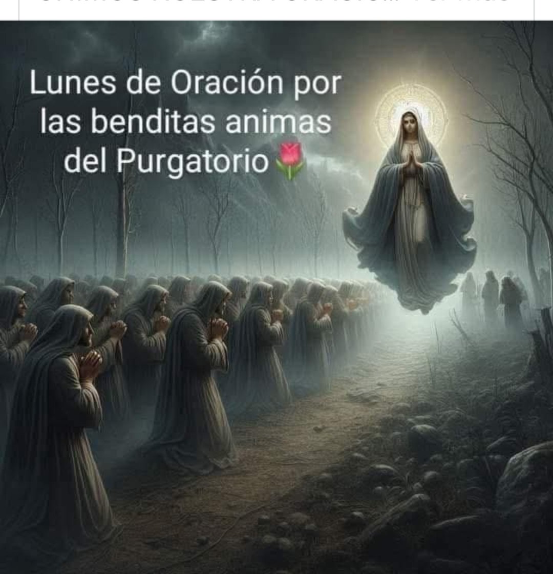 Nora Piña Ghazzaoui tweet media