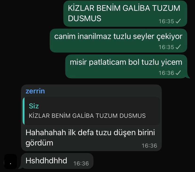 tuz aseriyorum nedendir bu chatgbt kankama gidip sorayim