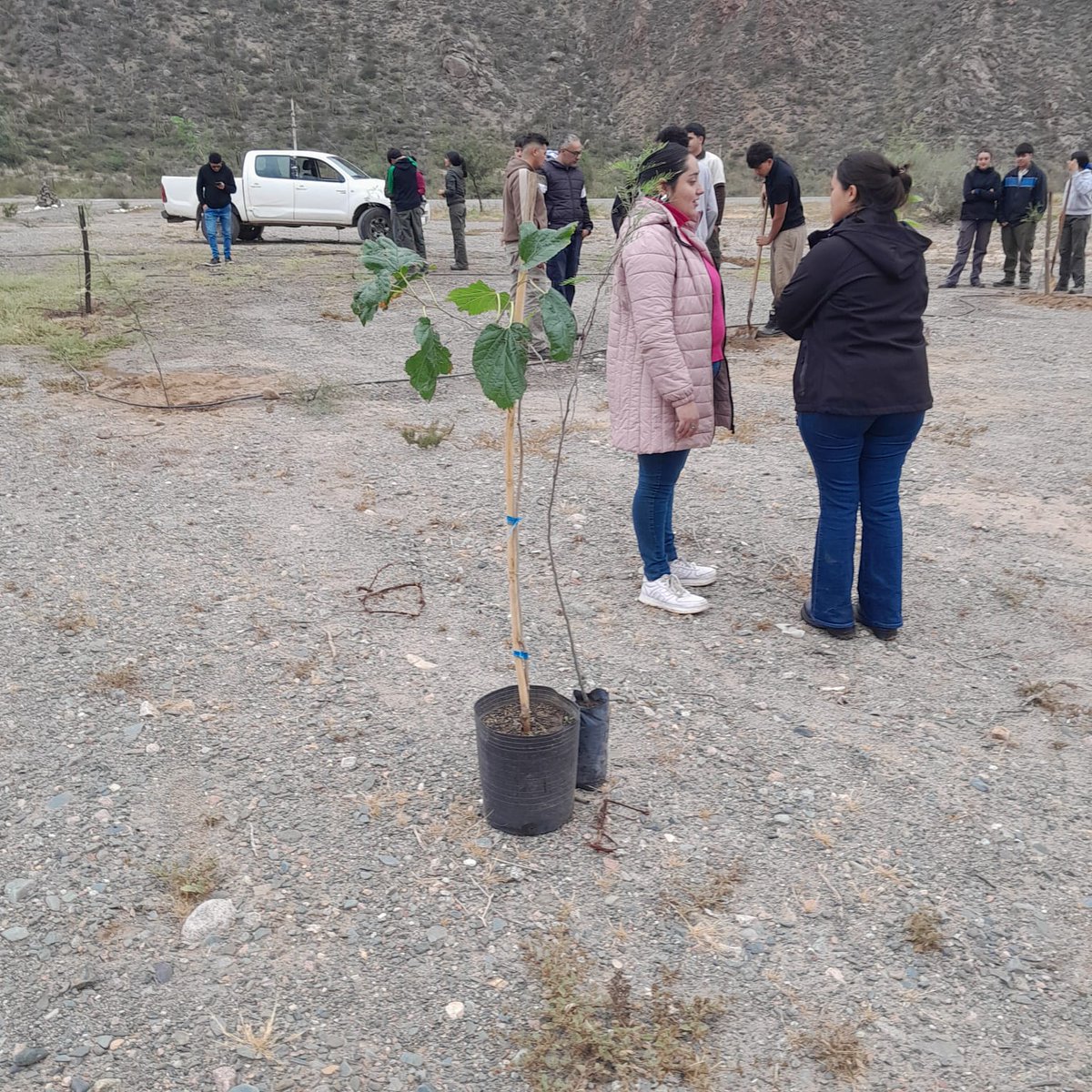 Secretaría de Agricultura La Rioja tweet media